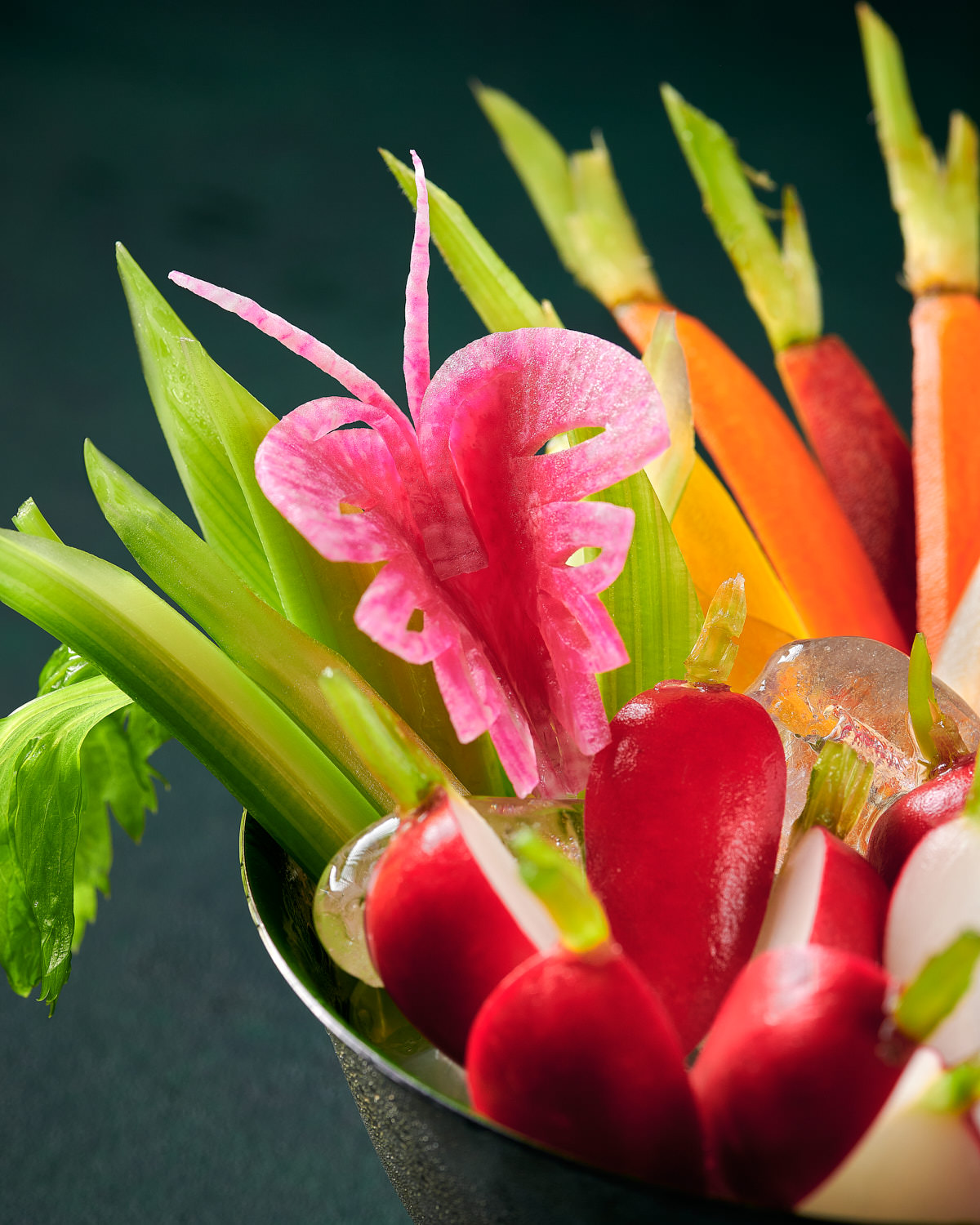 Editorial Cookbook Food Photography of Celery, Carrots, and Radishes