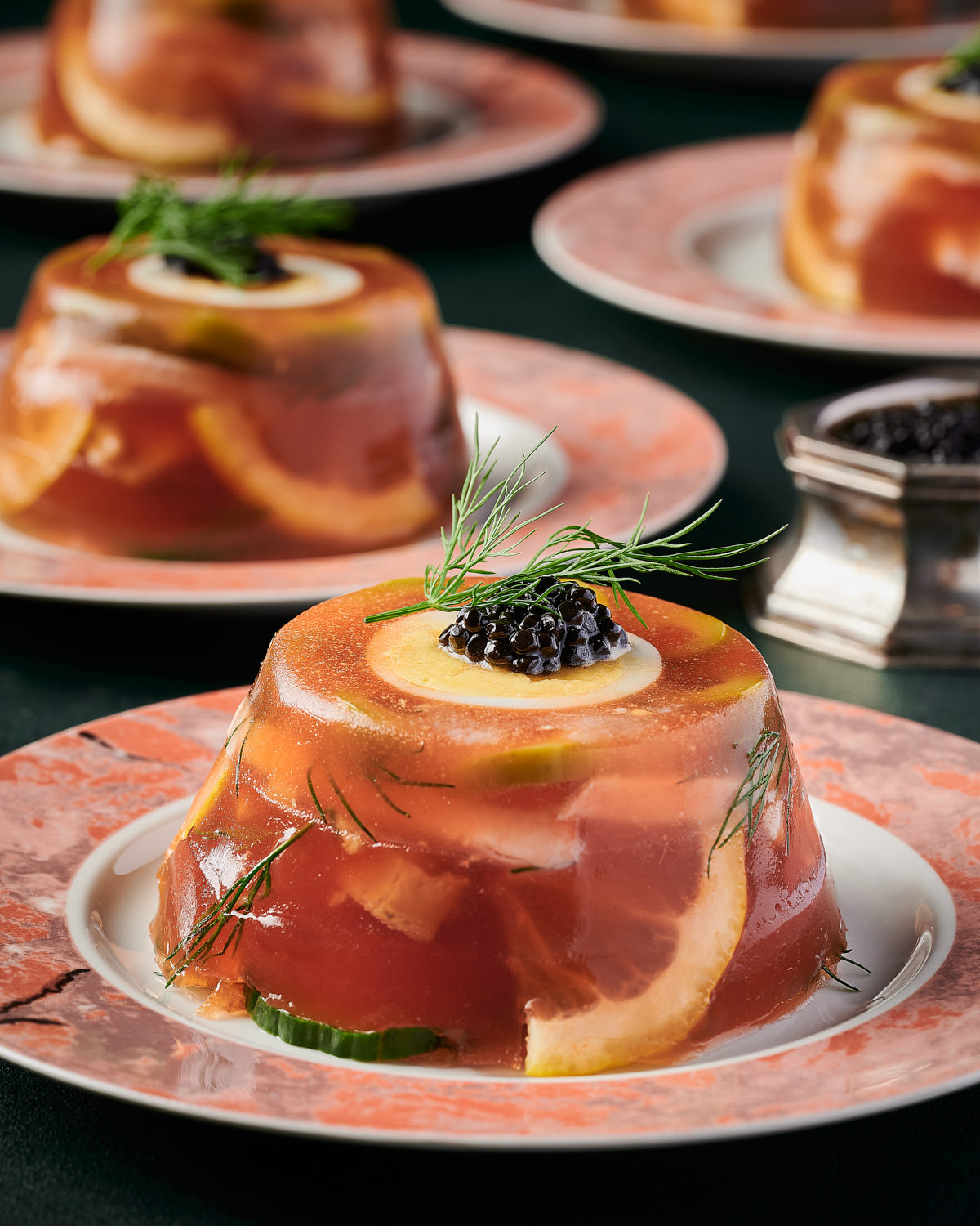 Editorial Cookbook Food Photography of Salmon Tomato Aspic